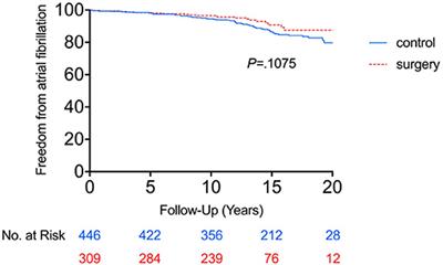 The Long-Term Impact of Bariatric Surgery on Development of Atrial Fibrillation and Cardiovascular Events in Obese Patients: An Historical Cohort Study